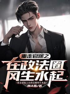 重走官途之在政法圈风生水起全文
