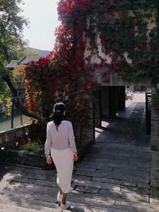 我在仕途斩群龙最新章节更新免费阅读