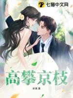 高攀京枝全文免费阅读