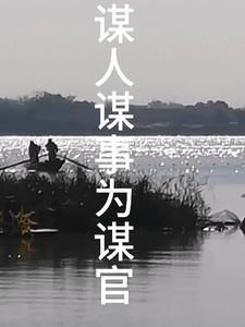 谋事谋人谋局的故事