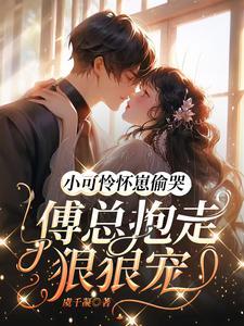 小可怜全文免费阅读