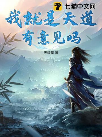我就是天道轮回