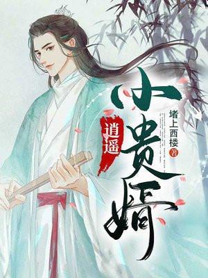 逍遥小贵婿人物简介全部