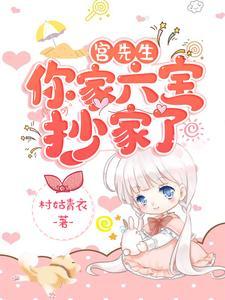 宫先生你家六宝抄家了免费txt