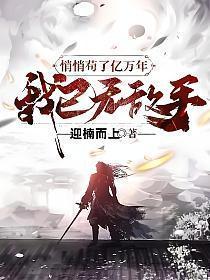 我已无敌手境界划分