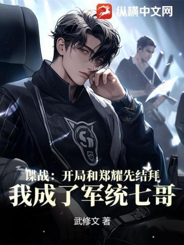 我成了军统七哥!作者武修文