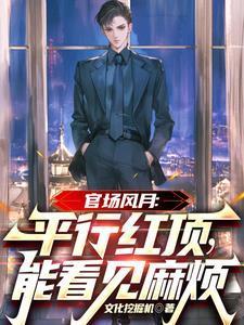 官场平步权锋免费阅读