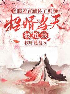 招婿当天被抢亲