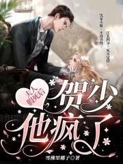 贺总夫人快被你宠坏了