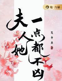 夫人她可不好惹全文免费阅读