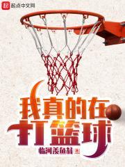 我真的在打篮球全文