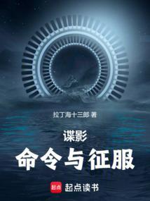 谍影命令与征服无防盗