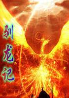 驯龙记飞越边界第一季普通话版
