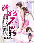 殿下的宠妃之路