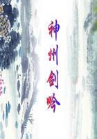 神州剑38度浓香型