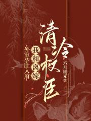 外室孕肚入府,我和离嫁清冷权臣