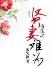 重生之贤妻难为