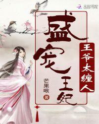 盛宠王妃:王爷太缠人