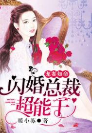 宠妻如命:闪婚总裁超能干