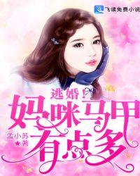 逃婚!妈咪马甲有点多