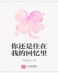 你还是住在我的回忆里