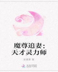魔尊追妻:天才灵力师