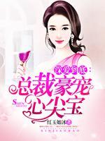 深爱到底:总裁豪宠心尖宝