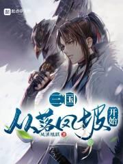三国:从落凤坡开始