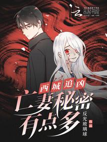 西城追凶:亡妻秘密有点多