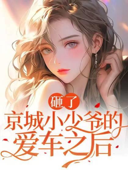 砸了京城小少爷的爱车之后