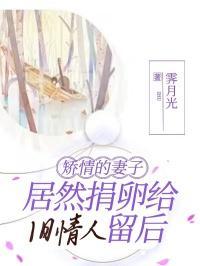 矫情的妻子,居然捐卵给旧情人留后