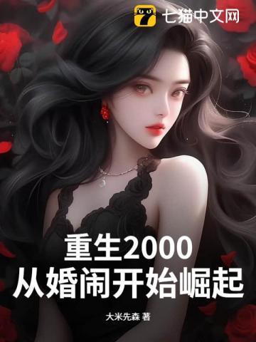 重生2000:从婚闹开始崛起