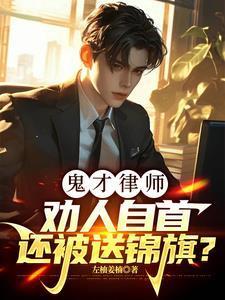 鬼才律师:劝人自首还被送锦旗?