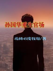 孙国华重生官场