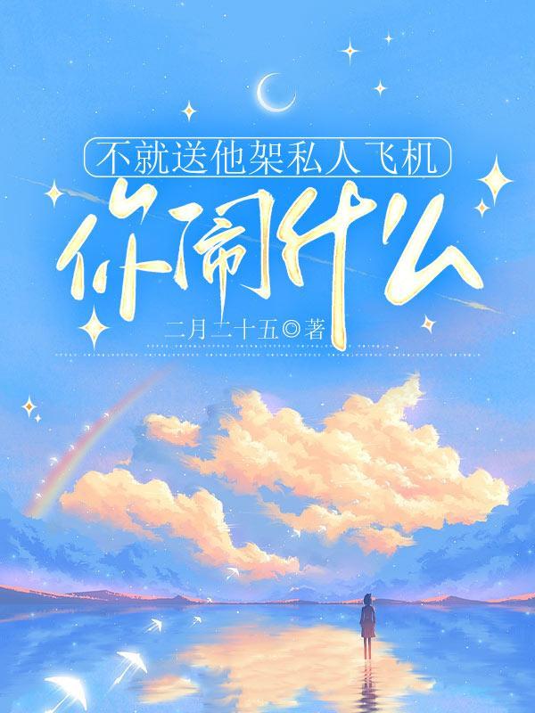 不就送他架私人飞机,你闹什么