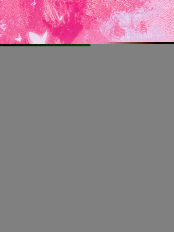 我生孩子,老公送秘书别墅