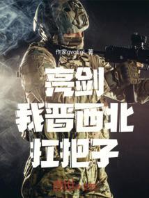 亮剑:我!晋西北扛把子!
