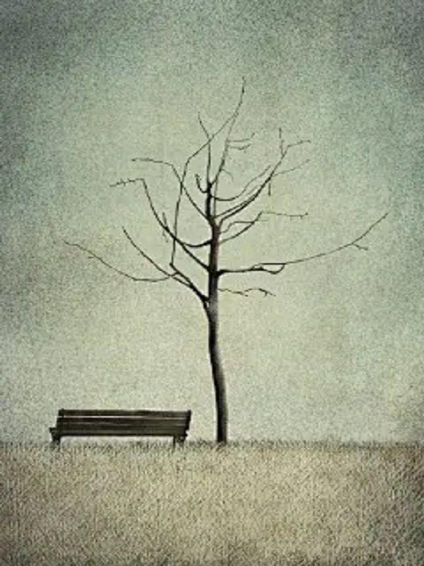 我死后,妈妈疯了