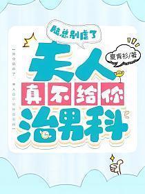 陆总别虐了,夫人真不给你治男科