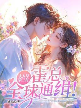 夫人早孕三月,霍总全球通缉!