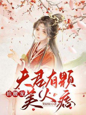 掐腰宠:夫君有颗美人痣