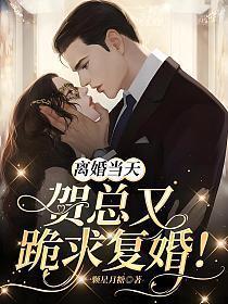 离婚当天,贺总又跪求复婚!