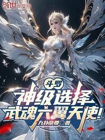 斗罗:神级选择,武魂六翼天使!
