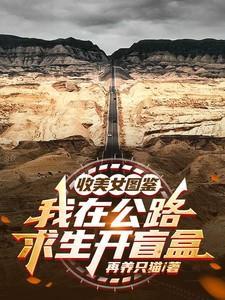 收美女图鉴,我在公路求生开盲盒