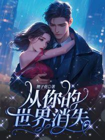 从你的世界消失