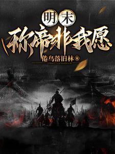 穿越明末:我从陕西闹革命