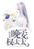 一纸成婚:晚安,权太太
